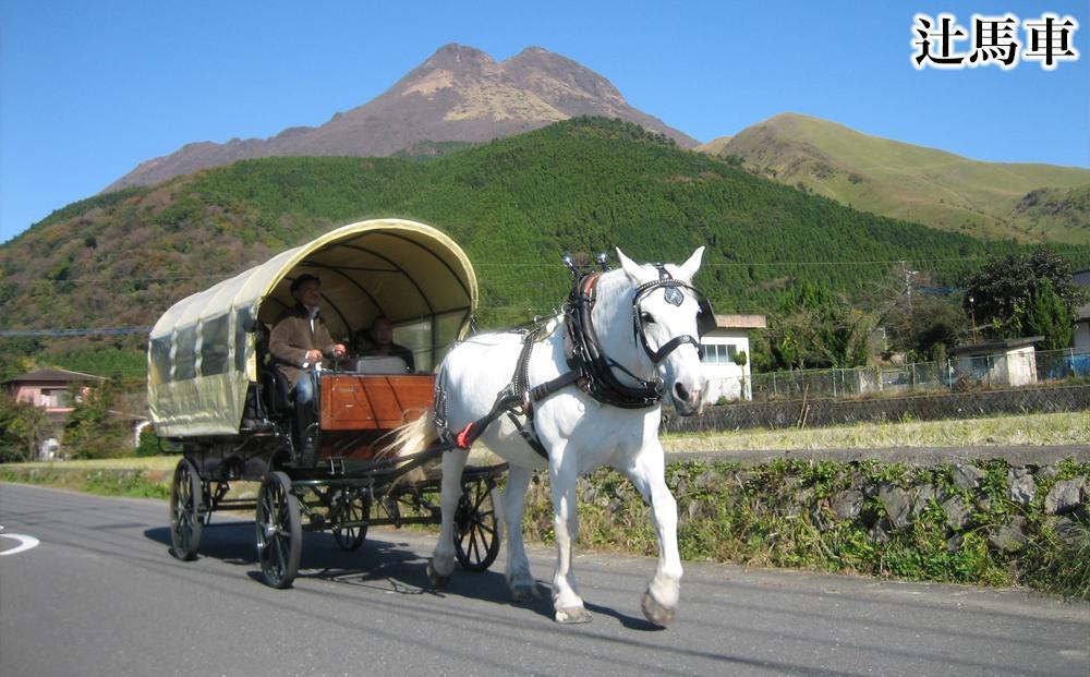 【湯布院、由布院、湯平、塚原高原】JTBふるさと旅行クーポン（Eメール発行）（300,000円分）