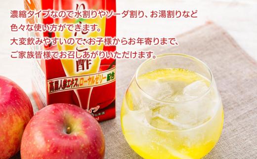 【定期便 6か月】濃縮りんご酢 1000ml×2本（常温保存可能品）