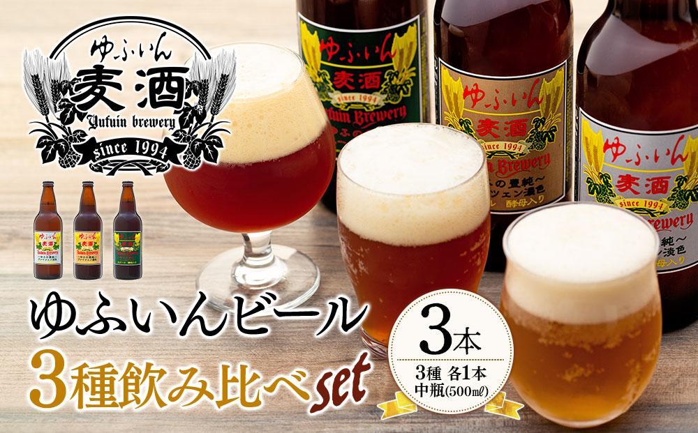 【定期便 全3回】お肉とビールで満たされるぅ～！おおいた和牛・ゆふいんビール の豪華コラボ定期便（合挽ハンバーグ10個・ビール３本・ヒレステーキ３枚）