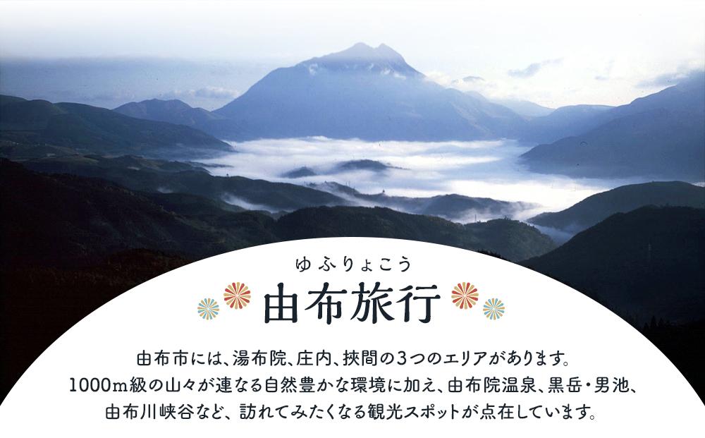 【由布市（湯布院、由布院、湯平、塚原高原）】ふるさと納税宿泊補助券15,000円分