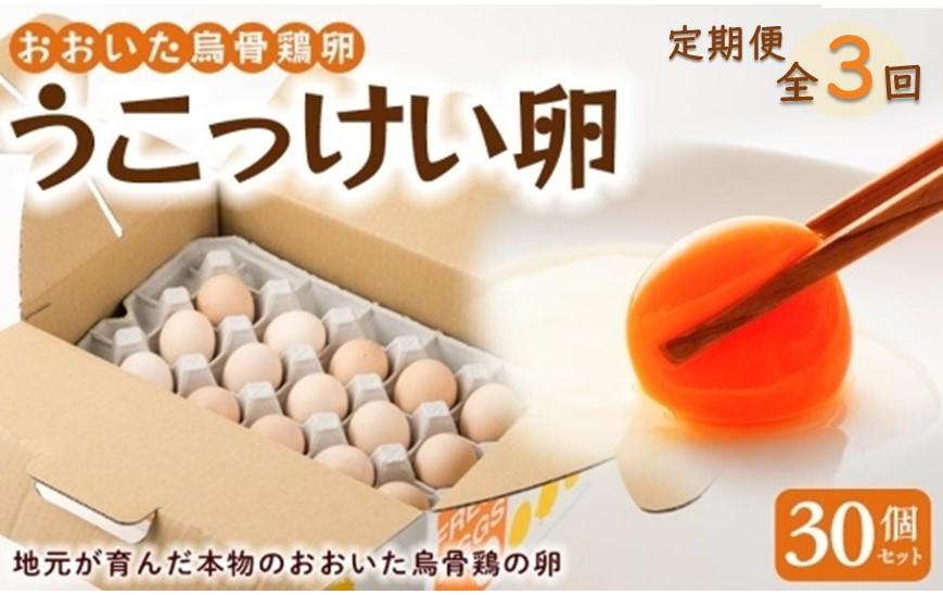 【定期便 全3回】大分うこっけい卵（生食用３０個）