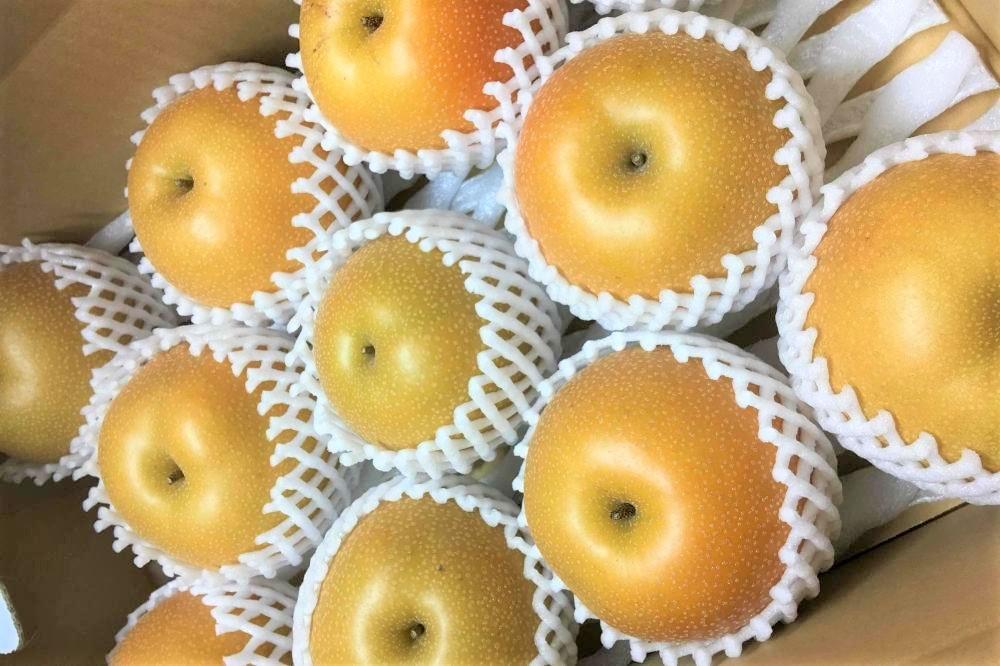 ã2026幎8æäžæ¬ä»¥éããçºéãæ¬ã®æ¢šããŸããçŽ5kgã»6-14çïŒèªå®¶è£œææ©è¥æã»æžèŸ²è¬ã»ååŠè¥æç¡äœ¿çšïŒ