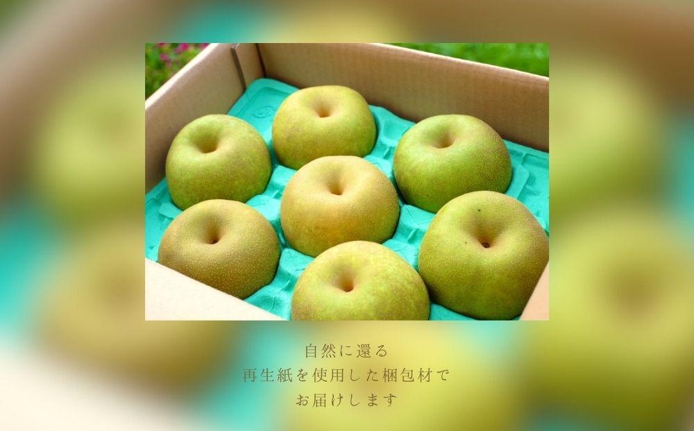 新高 5kg 自然の恵みいっぱい 大分の甘熟梨　由布市特産品＜庄内梨の藤原＞