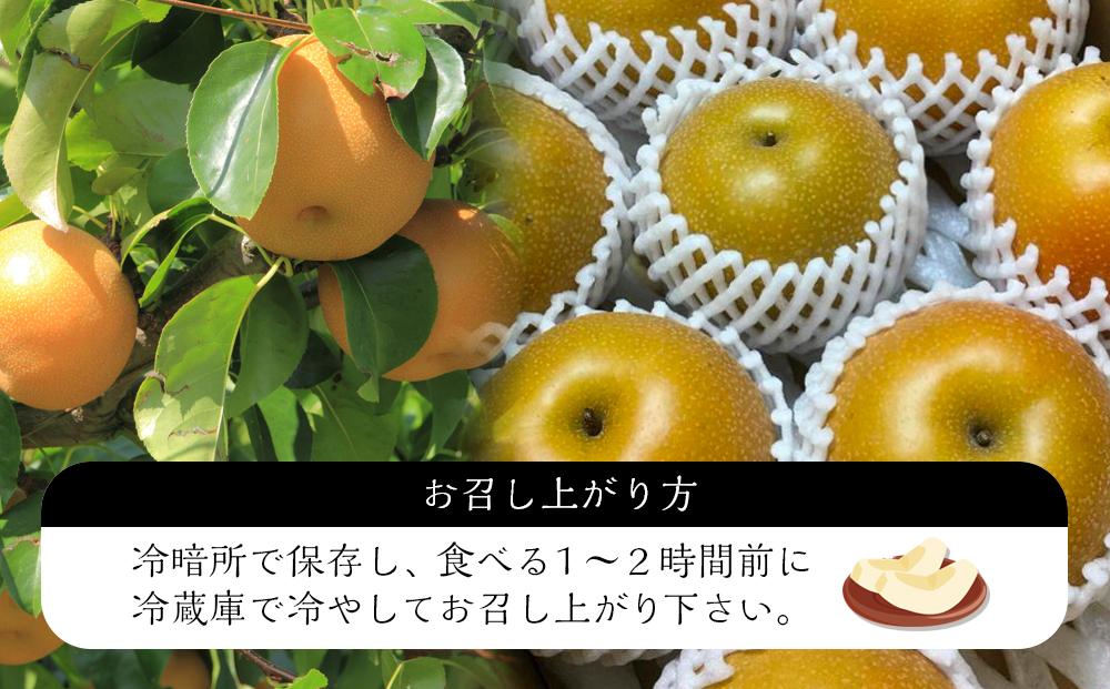 ã2026幎8æäžæ¬ä»¥éããçºéãæ¬ã®æ¢šããŸããçŽ5kgã»6-14çïŒèªå®¶è£œææ©è¥æã»æžèŸ²è¬ã»ååŠè¥æç¡äœ¿çšïŒ