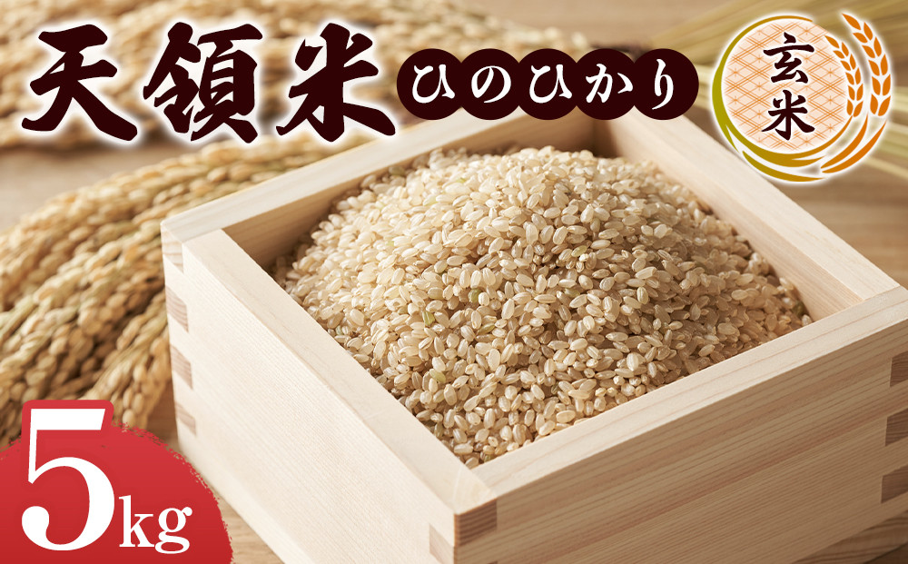 ＼年内発送／ 天領米（ひのひかり：玄米） 5kg