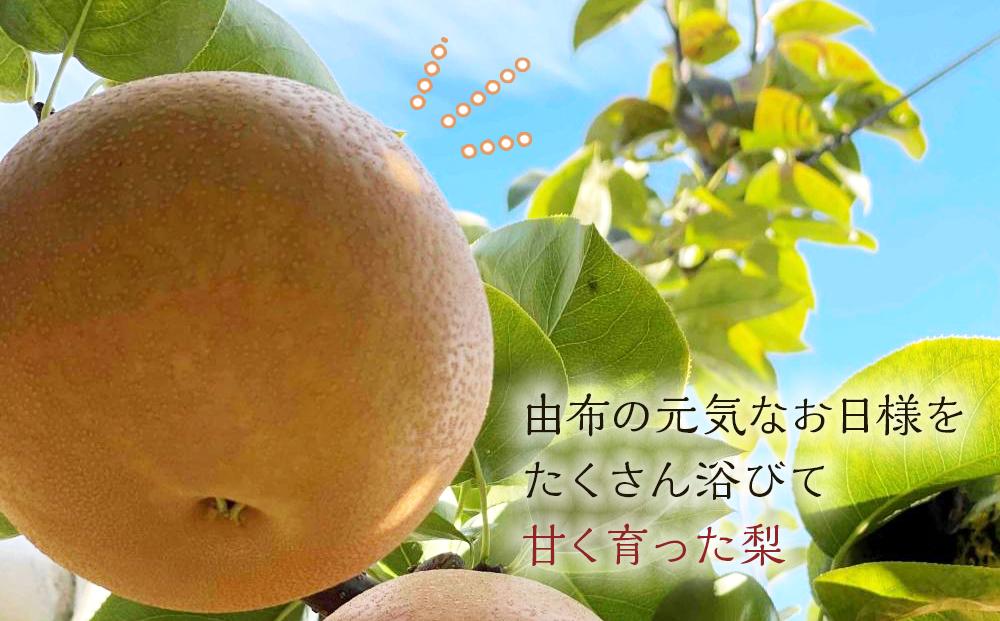 ã2026幎8æäžæ¬ä»¥éããçºéãæ¬ã®æ¢šããŸããçŽ5kgã»6-14çïŒèªå®¶è£œææ©è¥æã»æžèŸ²è¬ã»ååŠè¥æç¡äœ¿çšïŒ