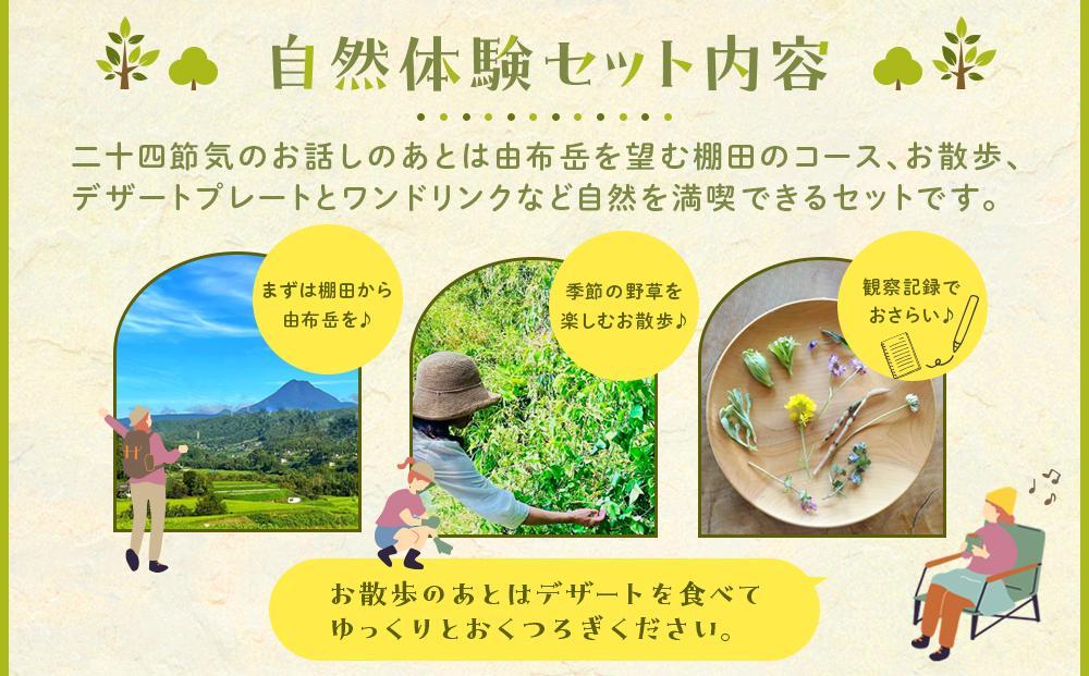 【由布の自然体験セット】野草研究会お散歩コース・カフェチケットセット 1名様分【木草舎ーもくそうやー】