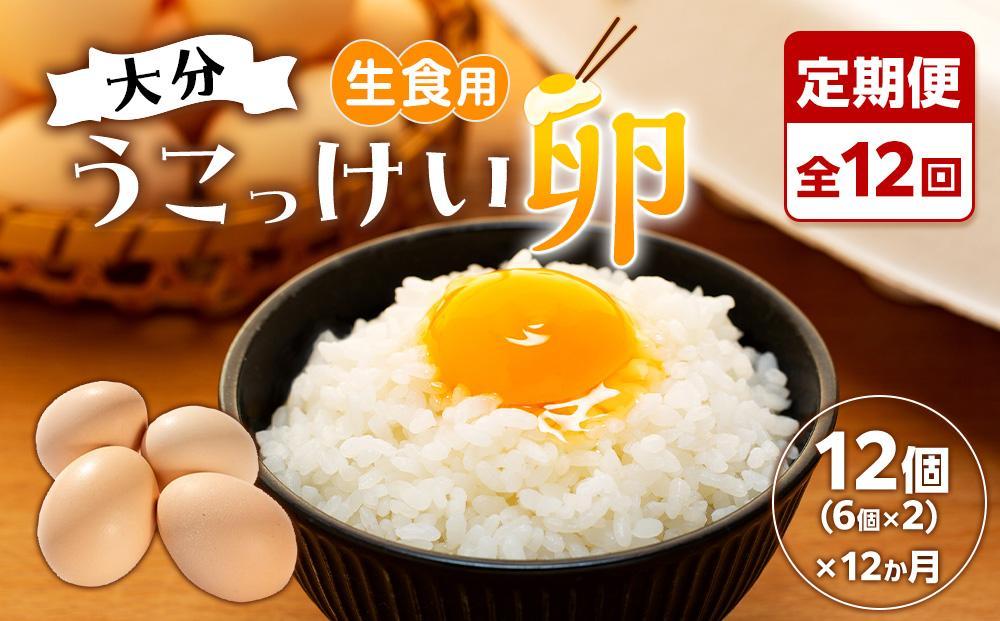 【定期便 全12回】大分うこっけい卵　生食用12個（6個×2パック）＜お試しサイズ／使い切りにぴったり！＞