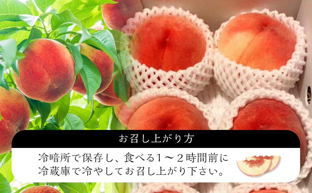 【定期便 全2回／2025年8・9月発送】＜旬の桃おまかせ2kg・6～8玉＞×2回（自家製有機肥料・減農薬・化学肥料無使用）