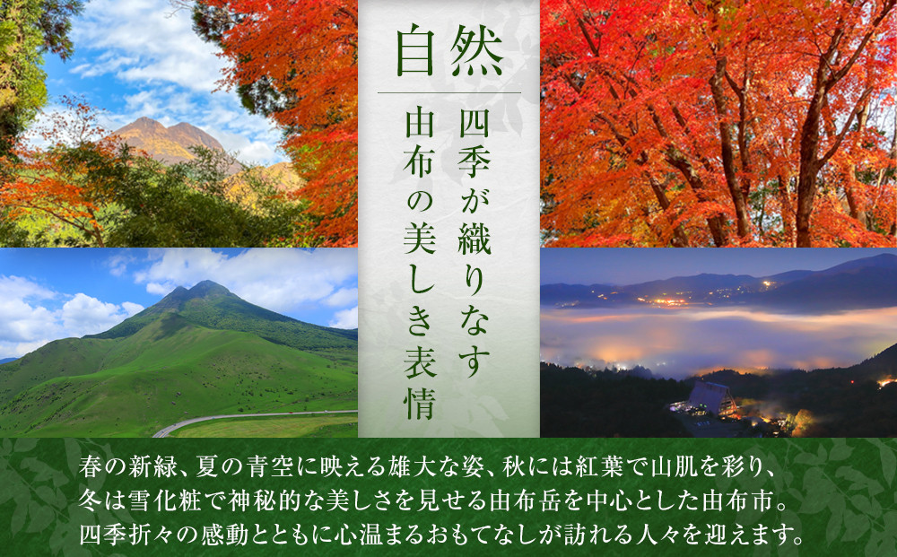 【食工房　風曜日】2種のジャムセット（ゆず・ポポー）