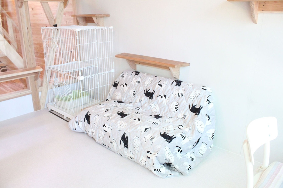 YUFUIN HOGONEKO FOREST縲譽ョ縺ョ荳ュ縺ァ菫晁ュキ迪ォ縺ィ荳邱偵↓螳ソ豕翫〒縺阪k繝√こ繝繝茨シ亥ケエ譛ォ蟷エ蟋倶ク榊庄縲鬟滉コ九↑縺暦シ