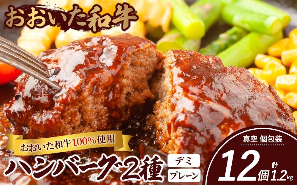 ＜おおいた和牛100％使用＞ハンバーグ 2種 デミ・プレーン 12個 計約1.2kg