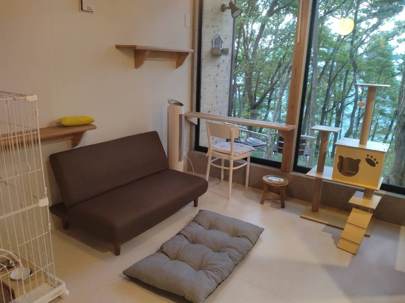 YUFUIN HOGONEKO FOREST縲譽ョ縺ョ荳ュ縺ァ菫晁ュキ迪ォ縺ィ荳邱偵↓螳ソ豕翫〒縺阪k繝√こ繝繝茨シ亥ケエ譛ォ蟷エ蟋倶ク榊庄縲鬟滉コ九↑縺暦シ