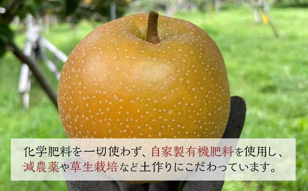 【定期便 全3回／2025年8～10月発送】＜旬の梨おまかせ5kg・6-14玉＞×3回（自家製有機肥料・減農薬・化学肥料無使用）