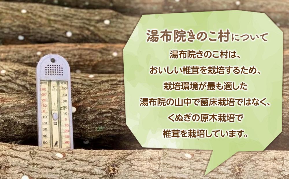 湯布院【有機原木椎茸】とシイタケベーゼ100g×2本セット