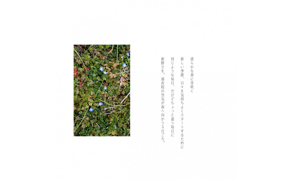 貉ッ蟶髯「縲シュシゥシォシ。シエシ。 KO-HA(鬥呵痩)縺ョ繝ェ繝シ繝峨ョ繧」繝輔Η繝シ繧カ繝シNo.05 貂闃ス