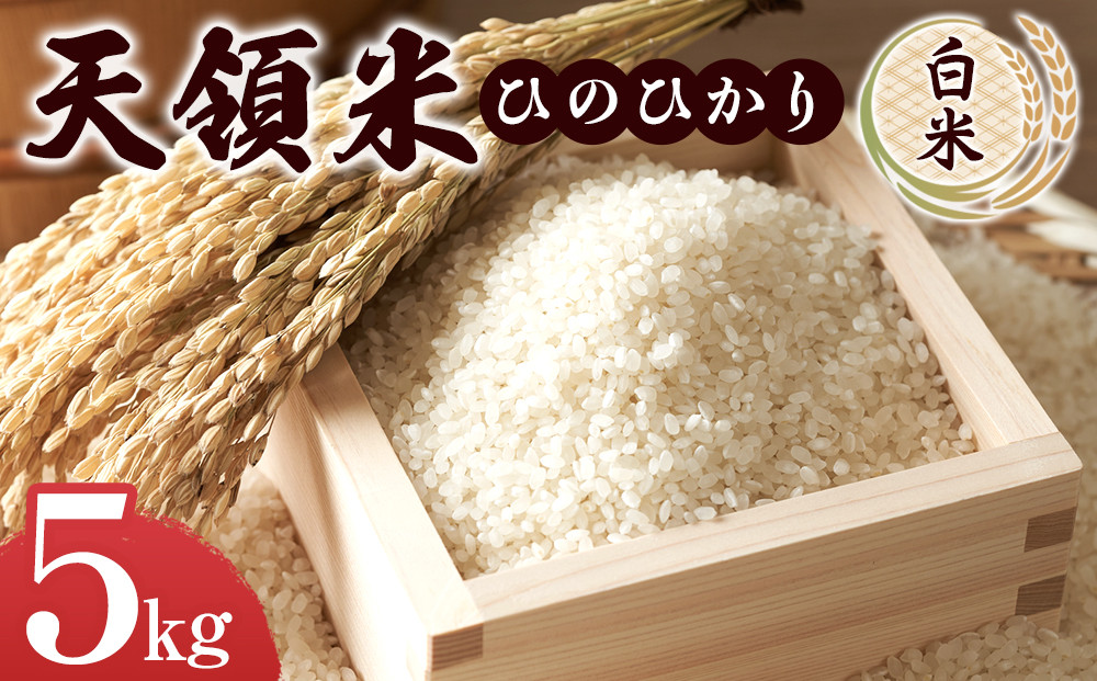 ＼年内発送／ 天領米（ひのひかり：白米） 5kg