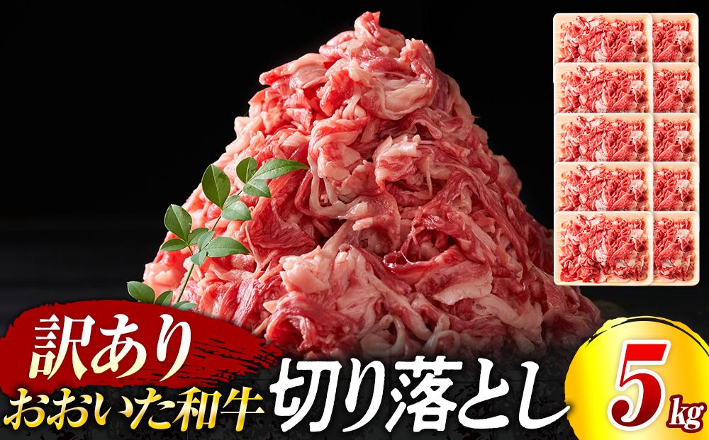 訳あり！おおいた和牛 切り落とし 5kg（500g×10p）