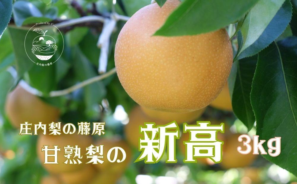 新高 3kg 自然の恵みいっぱい 大分の甘熟梨　由布市特産品＜庄内梨の藤原＞