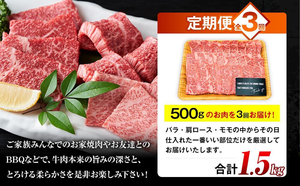 【定期便 全3回】おおいた和牛 焼肉用 500g