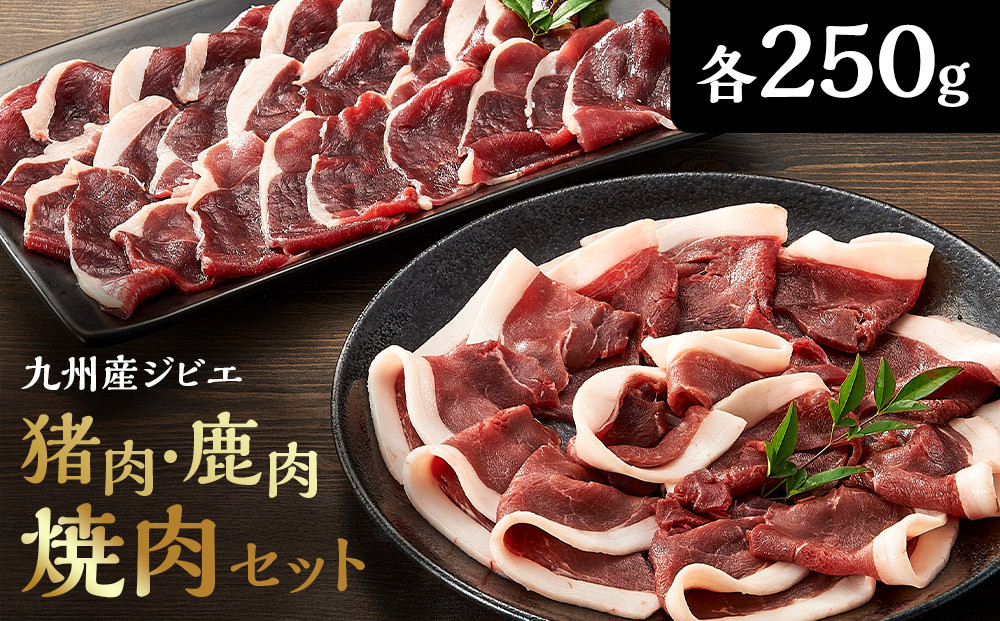 九州産ジビエ猪肉250ｇ・鹿肉焼肉250ｇセット