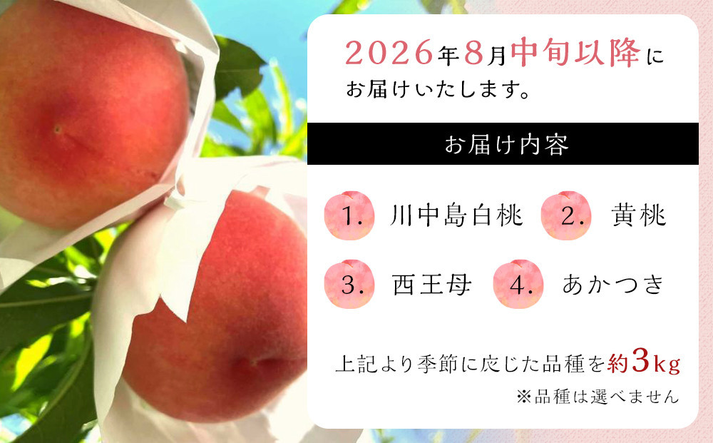 【2026年8月中旬以降より発送】旬の桃おまかせ約3kg・5～8玉（自家製有機肥料・減農薬・化学肥料無使用）