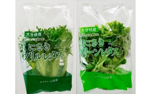 豈取怦縺雁ア翫¢シ√¥縺ォ縺輔″螟ェ髯ス縺ョ繝ャ繧ソ繧ケ螳壽悄萓ソ/險3蝗樒匱騾