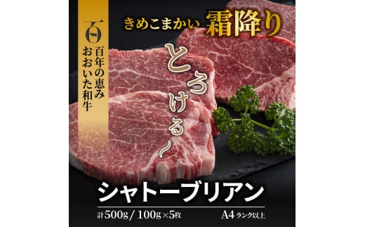 ãA4ãA5ççŽãããããåçã·ã£ããŒããªã¢ã³ã¹ããŒã100gÃ5æ_1472R