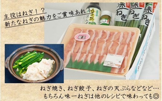 大分県産味一ねぎ×国東市ブランド桜王豚のねぎしゃぶセット
