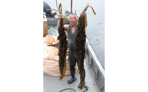 蝗ス譚ア蜊雁ウカ縺ョ螟ゥ辟カ縺雁絢霄ォ繧上°繧シ1kgシ
