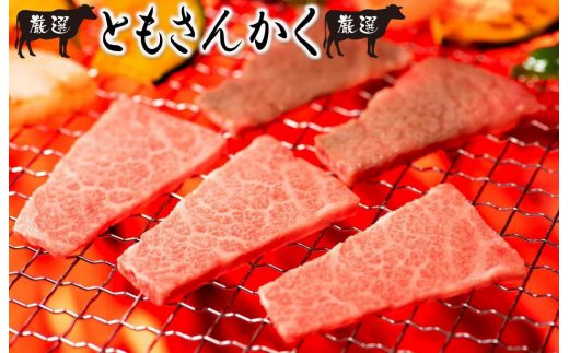 ããããè±åŸç5çš®å³éžéšäœã®çŒèã»ãã1.1kg