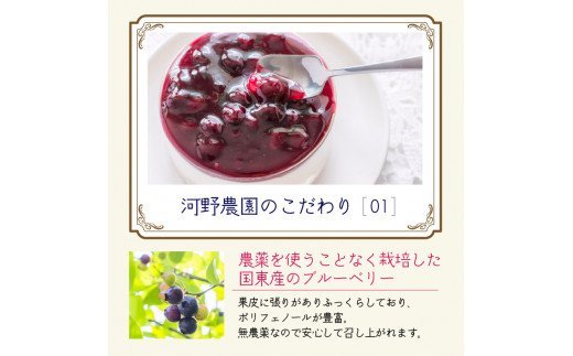 豐ウ驥手セイ蝨偵ョ辟。豺サ蜉繝悶Ν繝シ繝吶Μ繝シ繧ス繝シ繧ケ150gテ5譛ャ