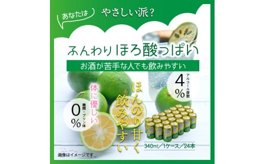 çœå¿«ïŒããŒããã€ããŒã«VS.ã¹ãããªè»œãã®ããŒããã€ããŒã«ã©ã€ã_1684R