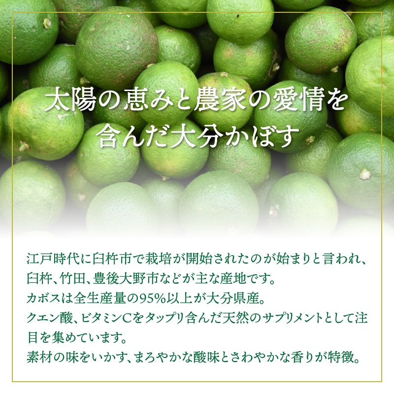 爽快!!かぼすのサイダー/495ml×24本_1182R