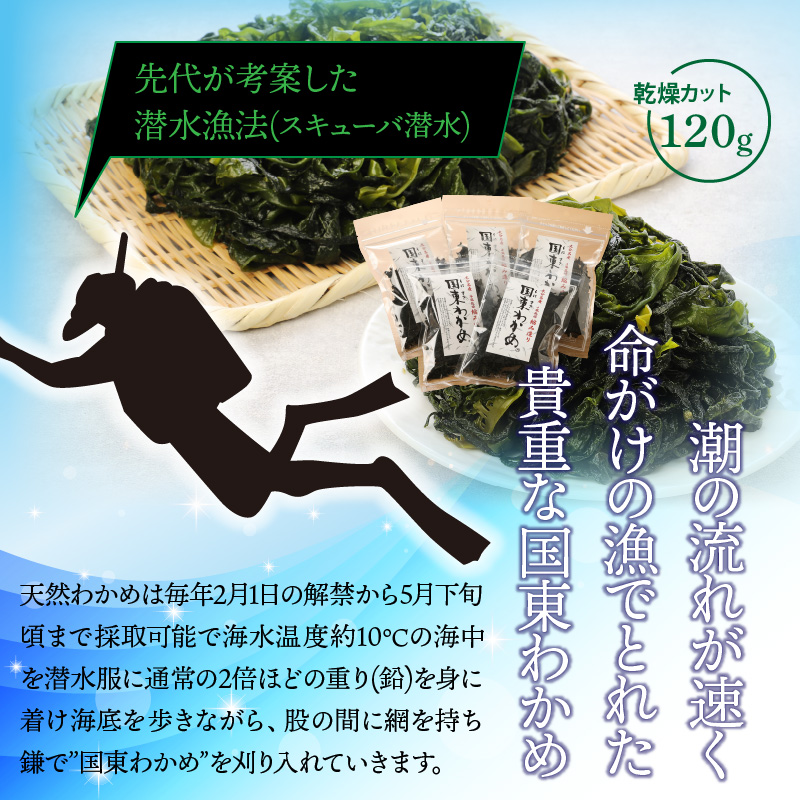 冷風乾燥が旨さの決め手！国東わかめ「乾燥カットわかめ」120g_0080N 