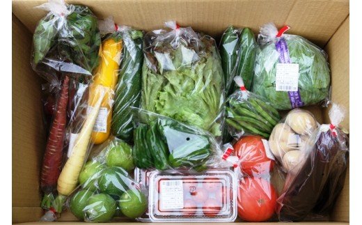 蝗ス譚ア縺ョ譌ャ驥手除シ繝輔Ν繝シ繝縺ョ隧ー蜷医○