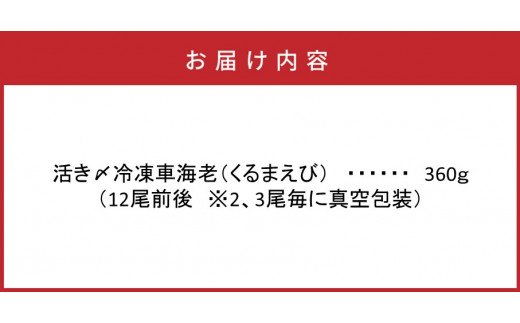 魄ョ蠎ヲ謚懃セ、シ∵エサ縺阪蜀キ蜃崎サ頑オキ閠シ360gシ雲29100A
