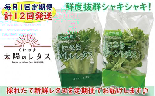 毎月お届け！くにさき太陽のレタス定期便/計12回発送