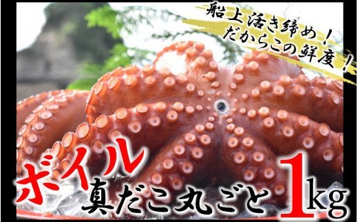 船上活き締め！ゆでたこ丸ごと約1kg（約1〜４杯）
