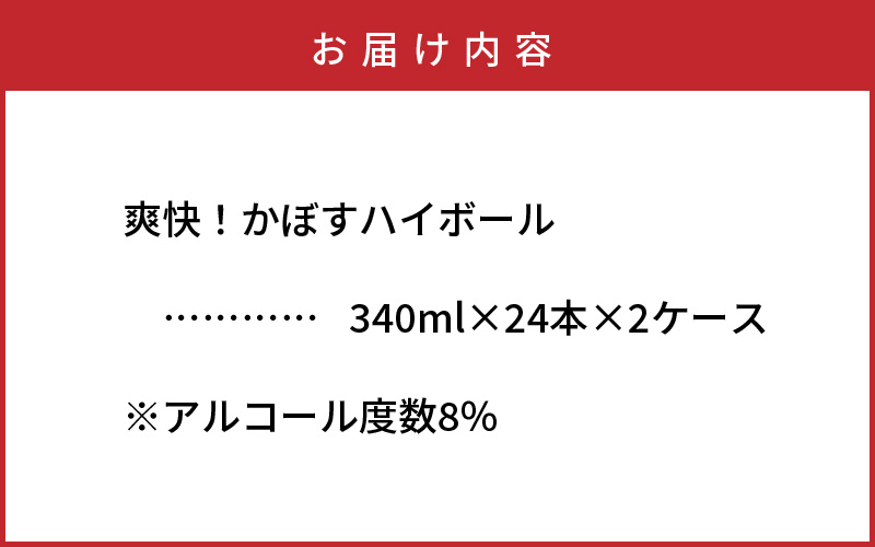 辷ス蠢ォシ√°縺シ縺吶ワ繧、繝懊シ繝ォシ2繧ア繝シ繧ケ/48譛ャシ