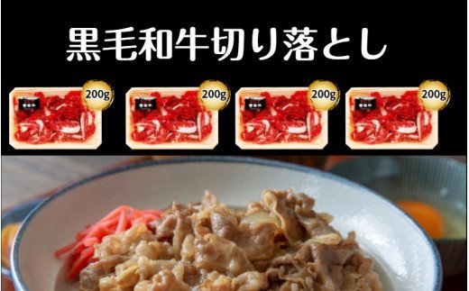 小分けで便利な4パック!豊後牛切り落し計800g