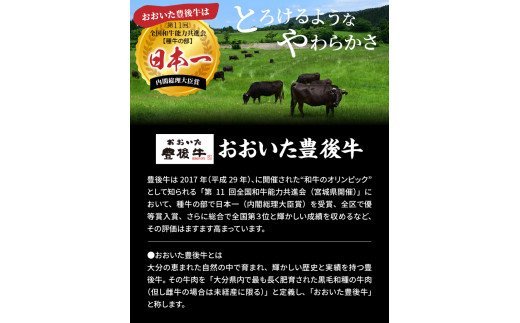 雎雁セ檎央繝上Φ繝舌シ繧ー縲後励Ξ繝シ繝ウ縺ィ繝√シ繧コ蜈・繧翫1kg_1202R
