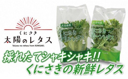 採れたてシャキシャキ!!くにさき太陽のレタス12袋詰合せ