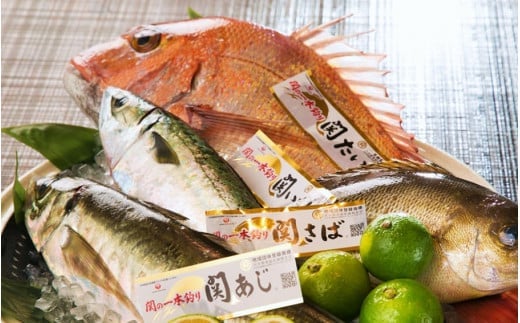 æ±äº¬ã»ææ¥œçºã§å³ãã忥倧åæäžçŽã³ãŒã¹æçã忥ããã±ãã 1åæ§å _2107R