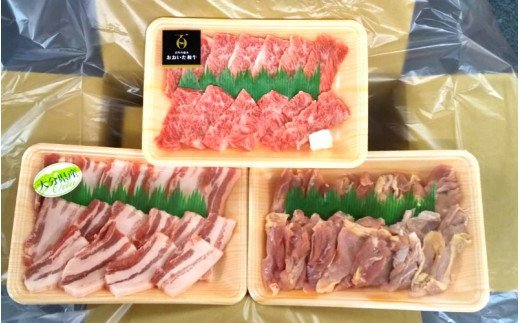 【A4〜A5等級】バラエティー焼肉セット_1852R