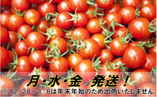 蝗ス譚ア逕」繝溘ル繝医槭ヨ1.2kg窶サ螫峨@縺蟆丞縺代ち繧、繝誉1053R