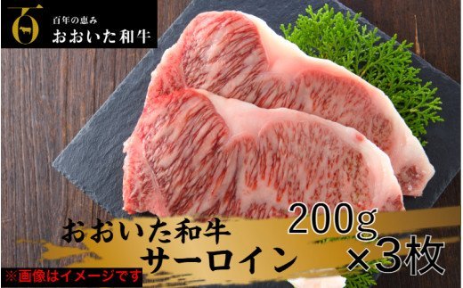 冷蔵発送/おおいた和牛サーロインステーキ600ｇ