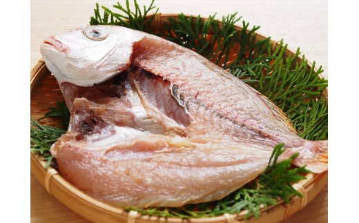 大きな天然鯛の一夜干し/3尾で1.2kg以上