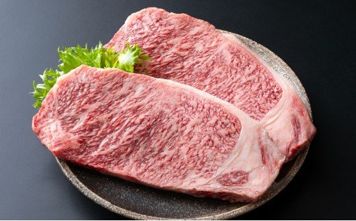 大人2名に最適!芳醇な脂の豊後牛定期便/計3回発送