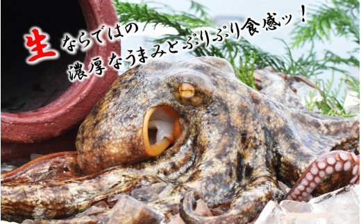 闊ケ荳頑エサ縺咲キ繧シ∫函逵溘□縺薙カ縺、蛻1kgシ200gテ5Pシ